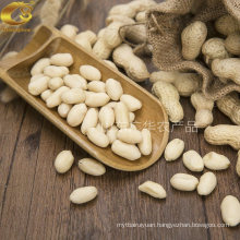 Factory Blanched Peanut Kernels Long Type